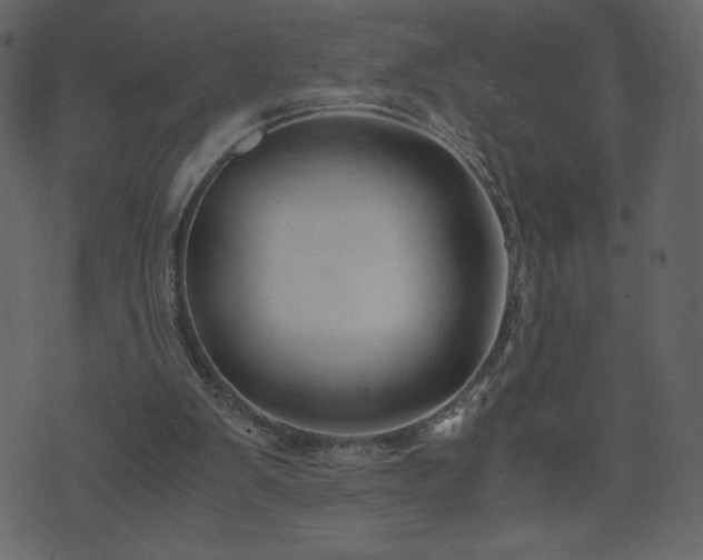 X0000071780103200606301230