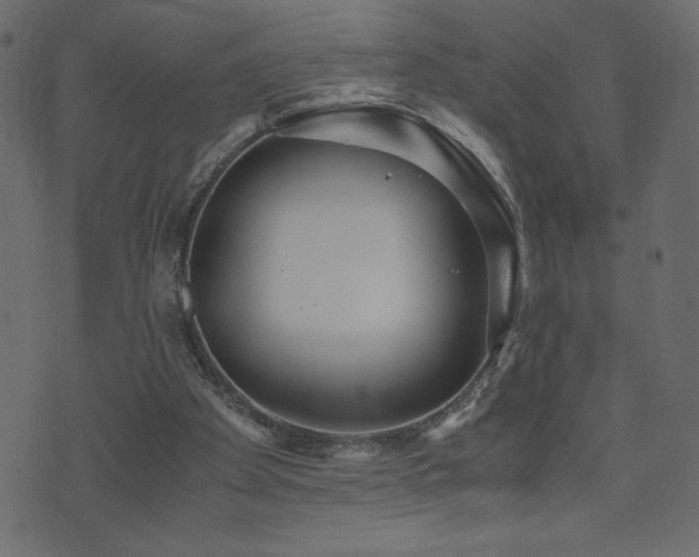 X0000071780105200606301230