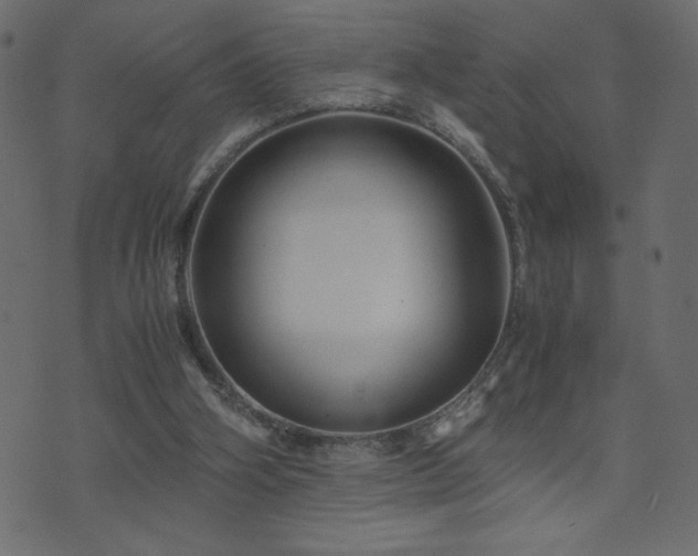 X0000071780106200606301230