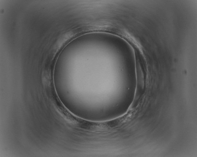 X0000071780107200606301230