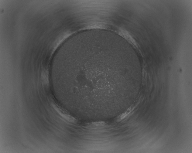 X0000071780108200606301230