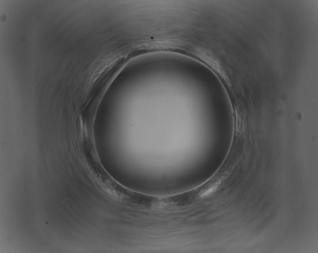 X0000071780109200606301230