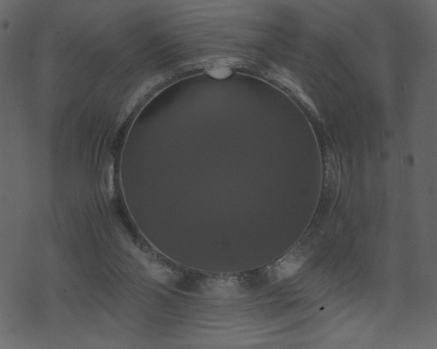 X0000071780110200606301230