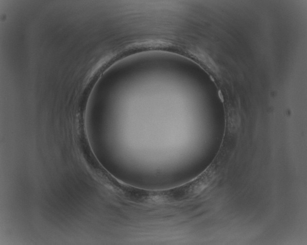 X0000071780111200606301230