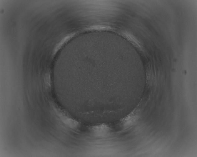 X0000071780112200606301230