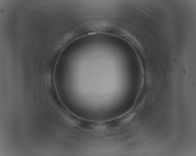 X0000071780113200606301230