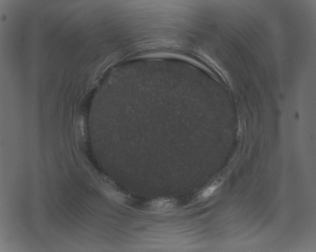 X0000071780117200606301230