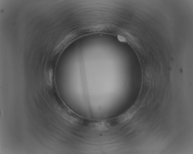 X0000071780118200606301230