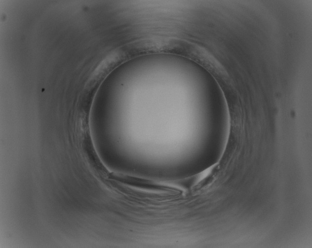 X0000071780119200606301230