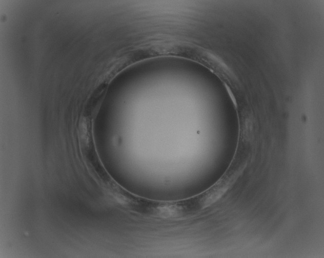 X0000071780121200606301230