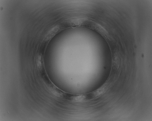 X0000071780122200606301230