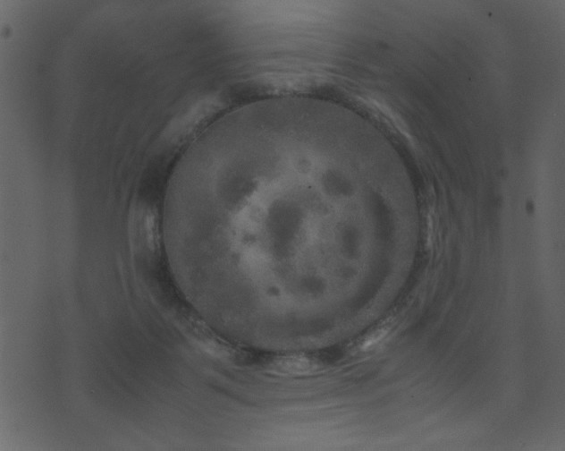 X0000071780123200606301230