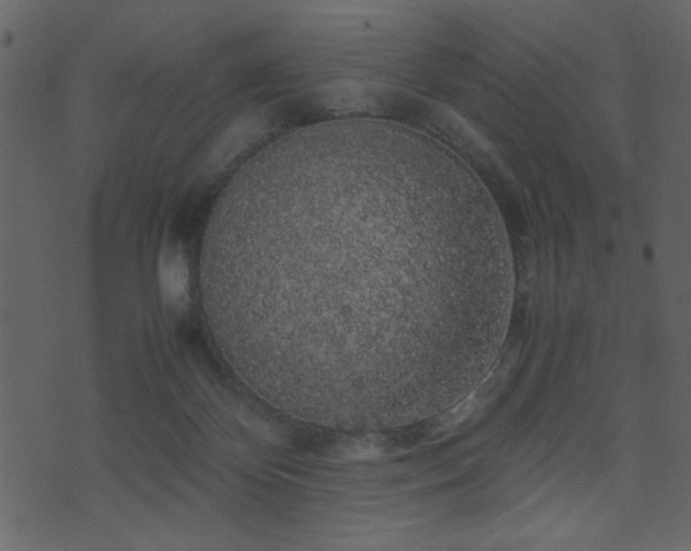 X0000071780124200606301230