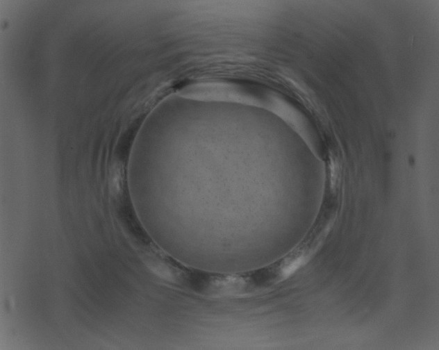 X0000071780125200606301230