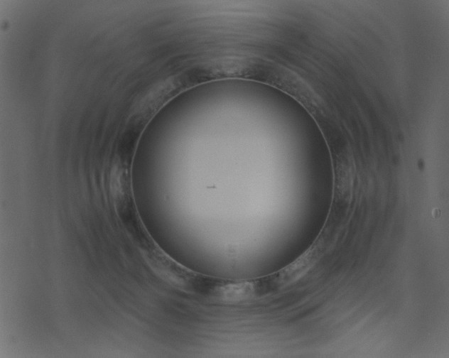 X0000071780126200606301230