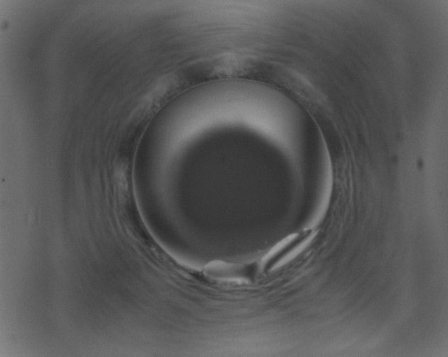 X0000071780127200606301230