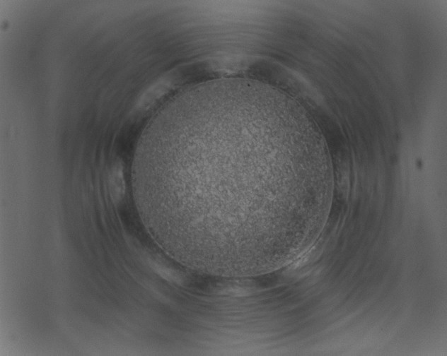 X0000071780128200606301230