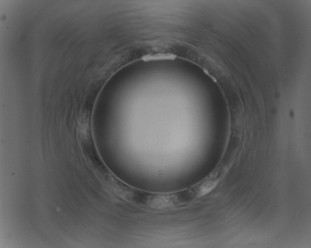 X0000071780129200606301230