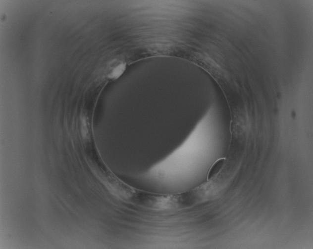 X0000071780130200606301230