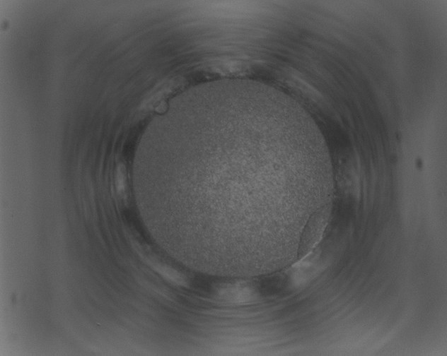 X0000071780132200606301230