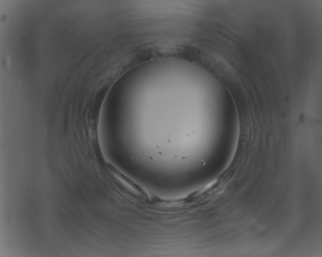 X0000071780135200606301229