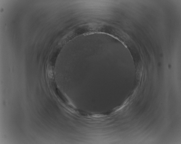 X0000071780137200606301229