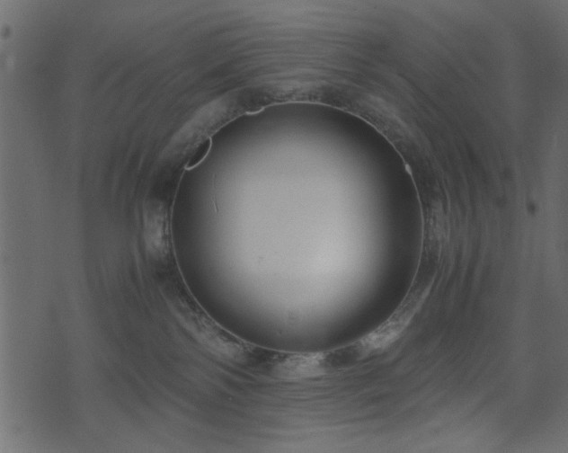 X0000071780138200606301229