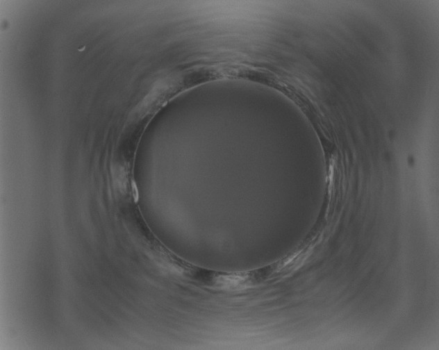 X0000071780139200606301229