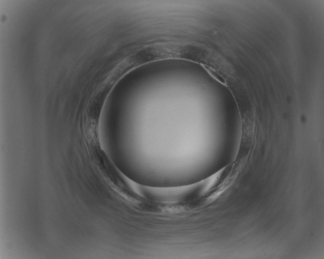 X0000071780141200606301229