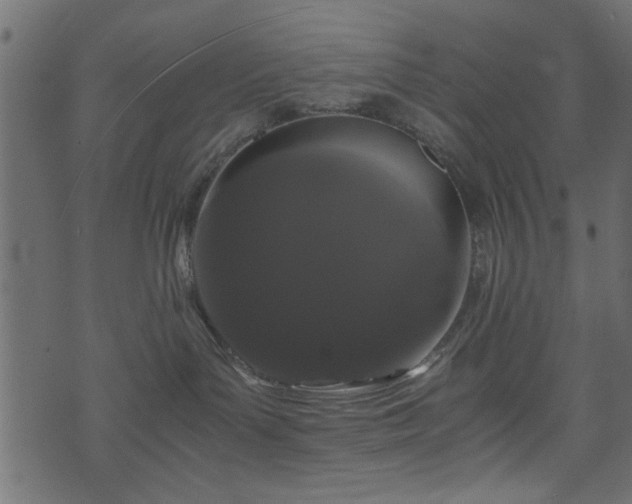 X0000071780143200606301229