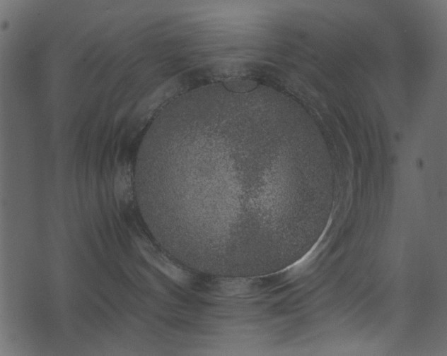 X0000071780144200606301229