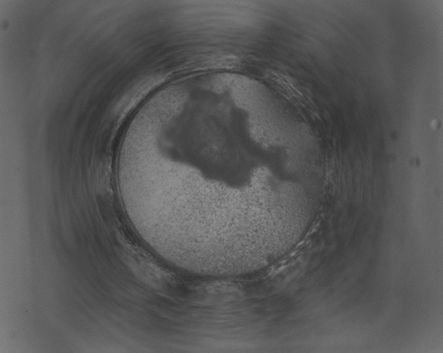 X0000071780146200606301229