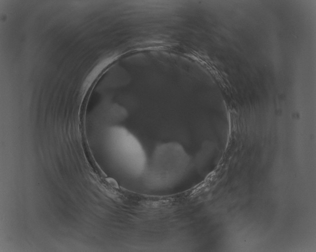 X0000071780147200606301229