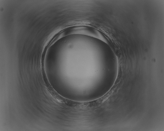 X0000071780148200606301229