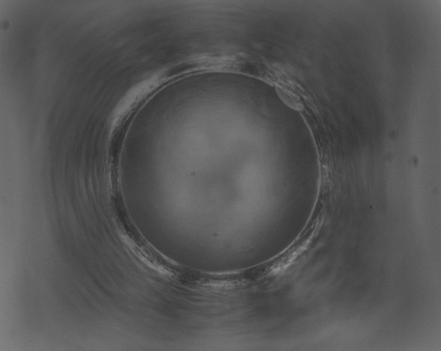 X0000071780149200606301229