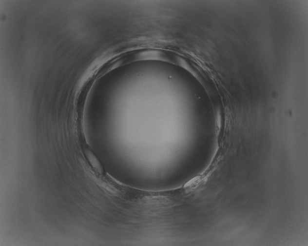 X0000071780150200606301229