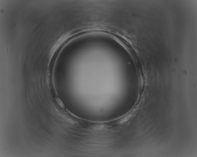 X0000071780152200606301229