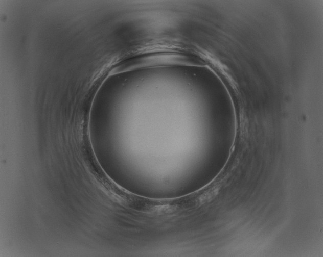 X0000071780153200606301229