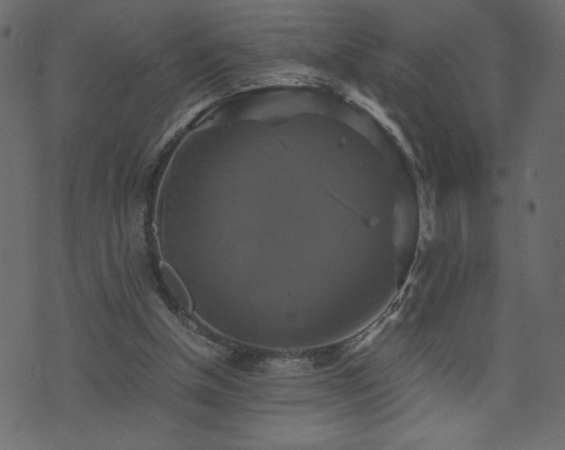 X0000071780154200606301229