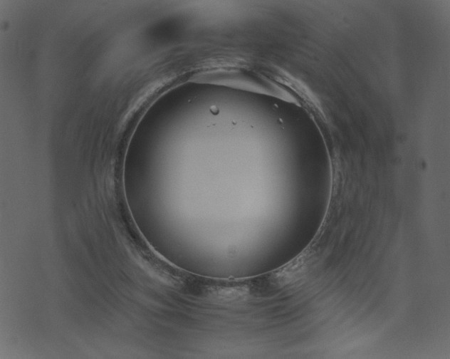 X0000071780155200606301229