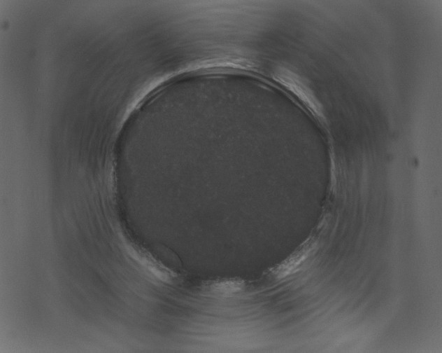 X0000071780156200606301229