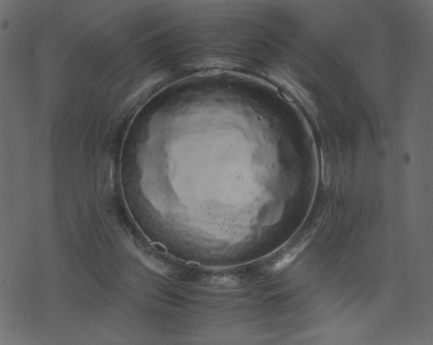 X0000071780157200606301229