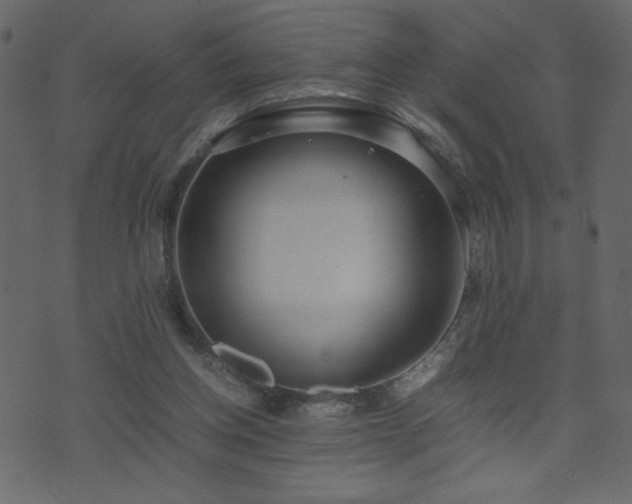 X0000071780158200606301229