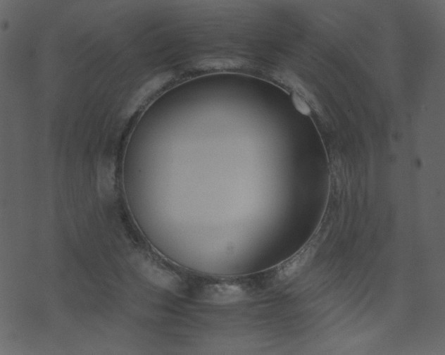 X0000071780159200606301229