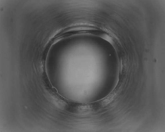 X0000071780160200606301229