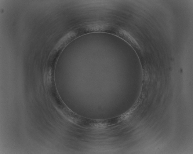 X0000071780163200606301229