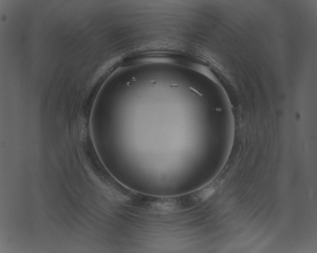 X0000071780164200606301229