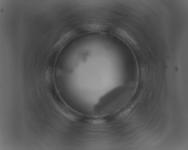 X0000071780165200606301229