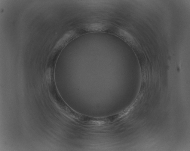 X0000071780167200606301229