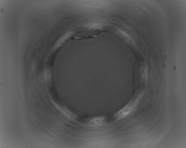 X0000071780168200606301229